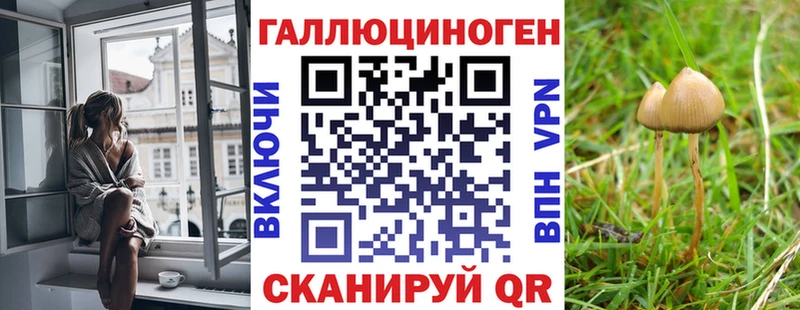 Галлюциногенные грибы GOLDEN TEACHER  где купить наркоту  Рузаевка 